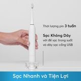  Bàn chải sóng âm Zenyum Sonic Singapore 