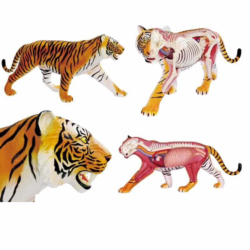 TBO TOYS SHOP   MÔ HÌNH HỔ MẬP MINI  Mô hình không cử  Facebook