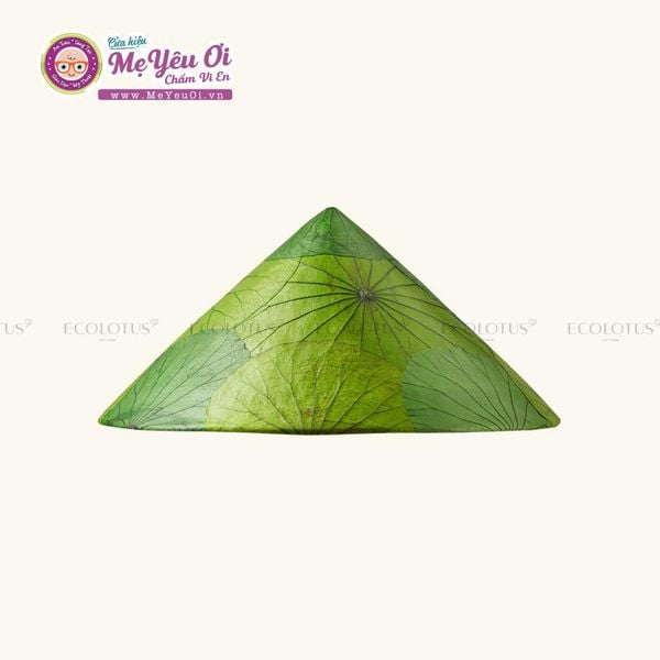  Nón Lá Sen - Palm Leaf Conical Hat - Ecolotus 