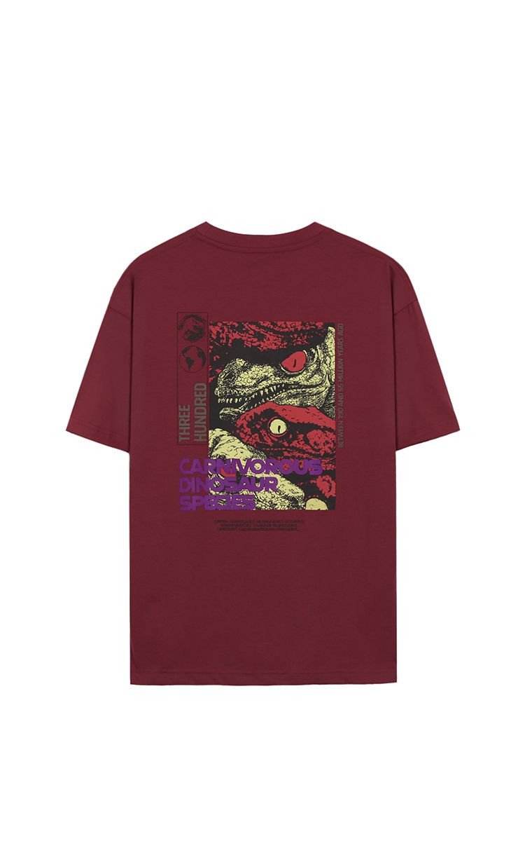 Carnivorous Dinosaur Species Tee In Red