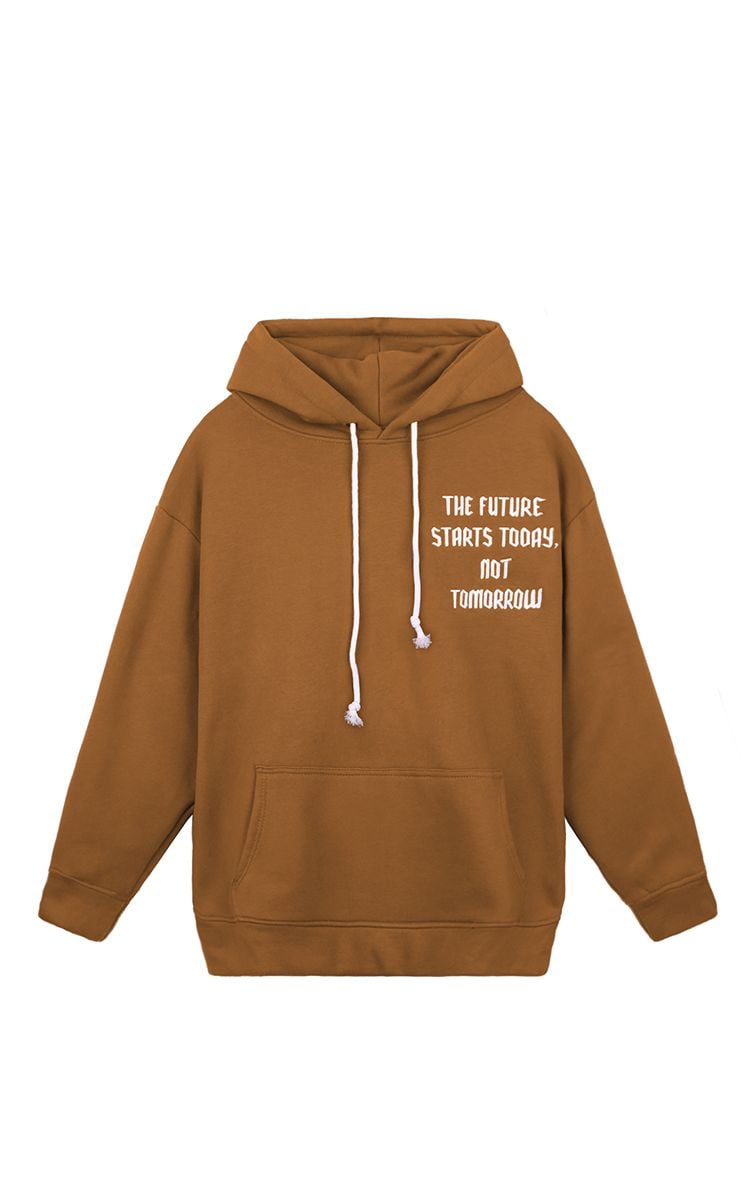 The Earth Embroidered Hoodie In Brown