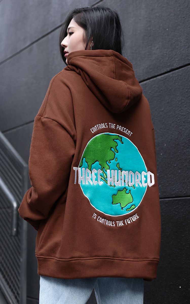 The Earth Embroidered Hoodie In Brown