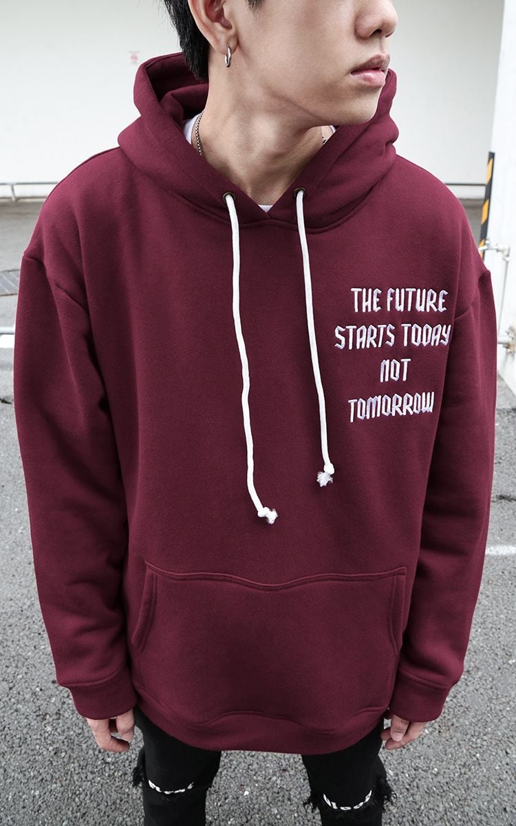 The Earth Embroidered Hoodie In Red