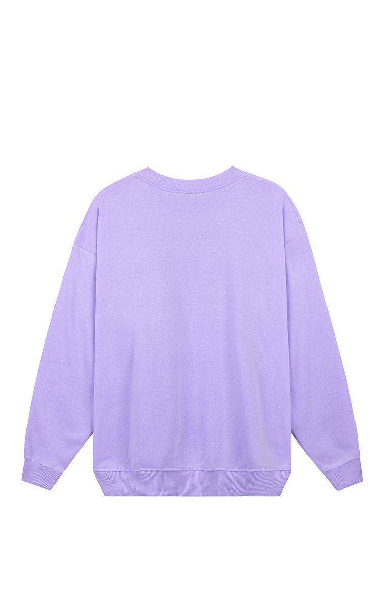 Champion Sweater In Purple