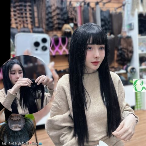 Mái Phủ Ngố