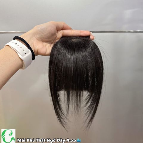 Mái Phủ Ngố Dày