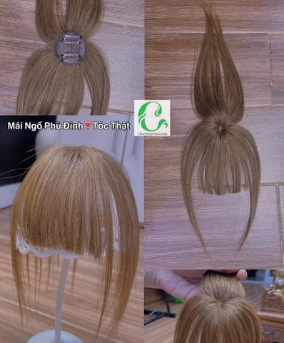 Mái Phủ Thưa Thật
