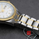 Đồng hồ Seiko SARV004 bản nội địa Automatic Size 42mm Made in Japan đờ mi vàng