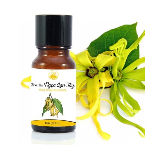 Tinh Dầu Thiên Nhiên Ngọc Lan Tây An Herb & Tea 10ml