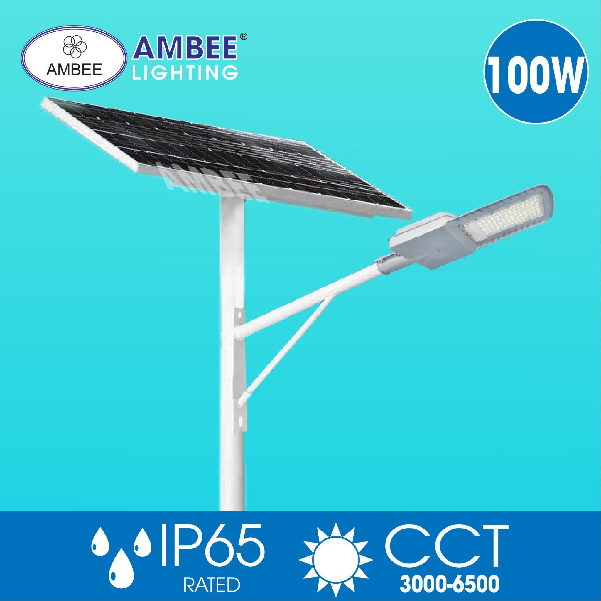 Đèn Đường Năng Lượng Mặt Trời 100w (Loại Rời)