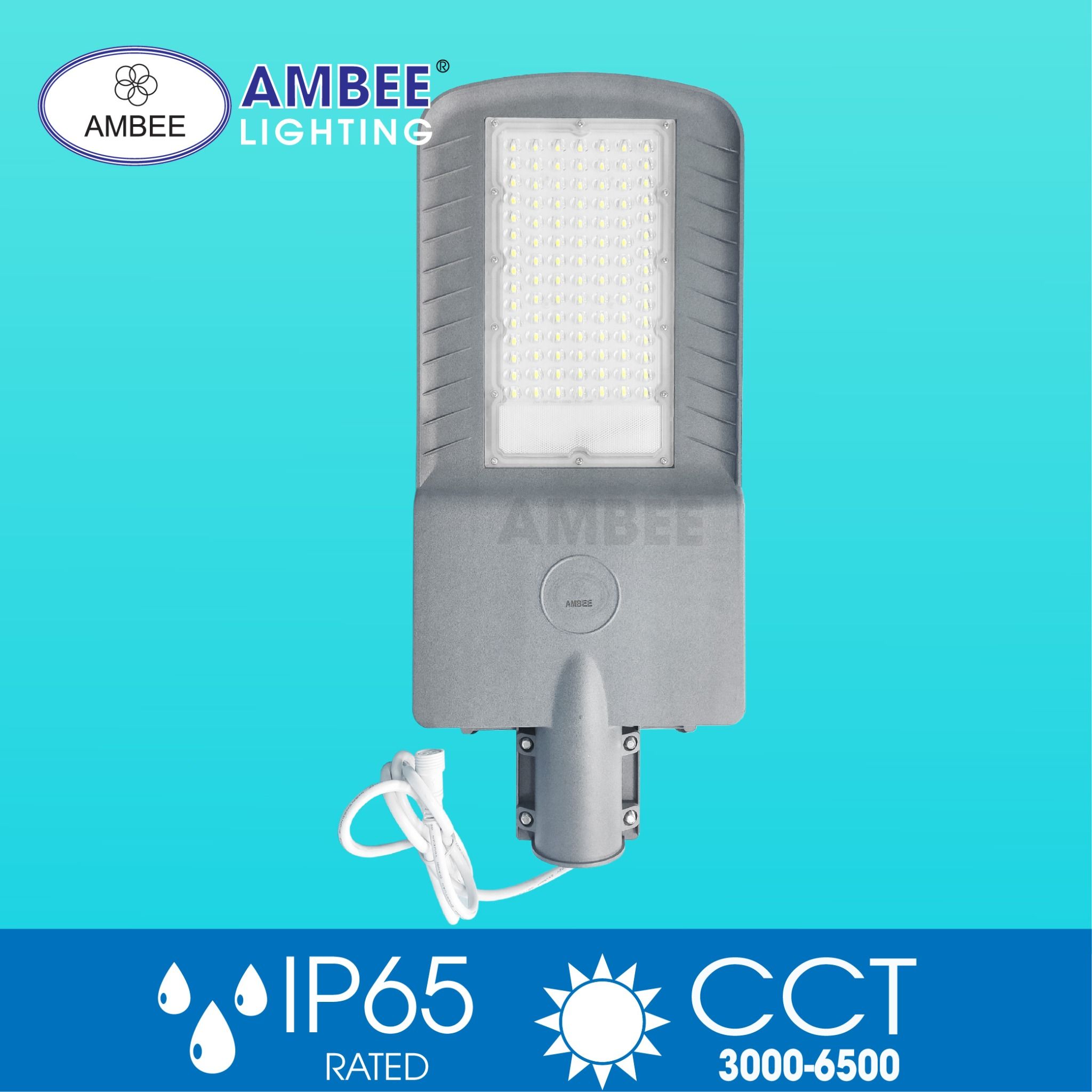 Đèn Đường Năng Lượng Mặt Trời 100w (Loại Rời)