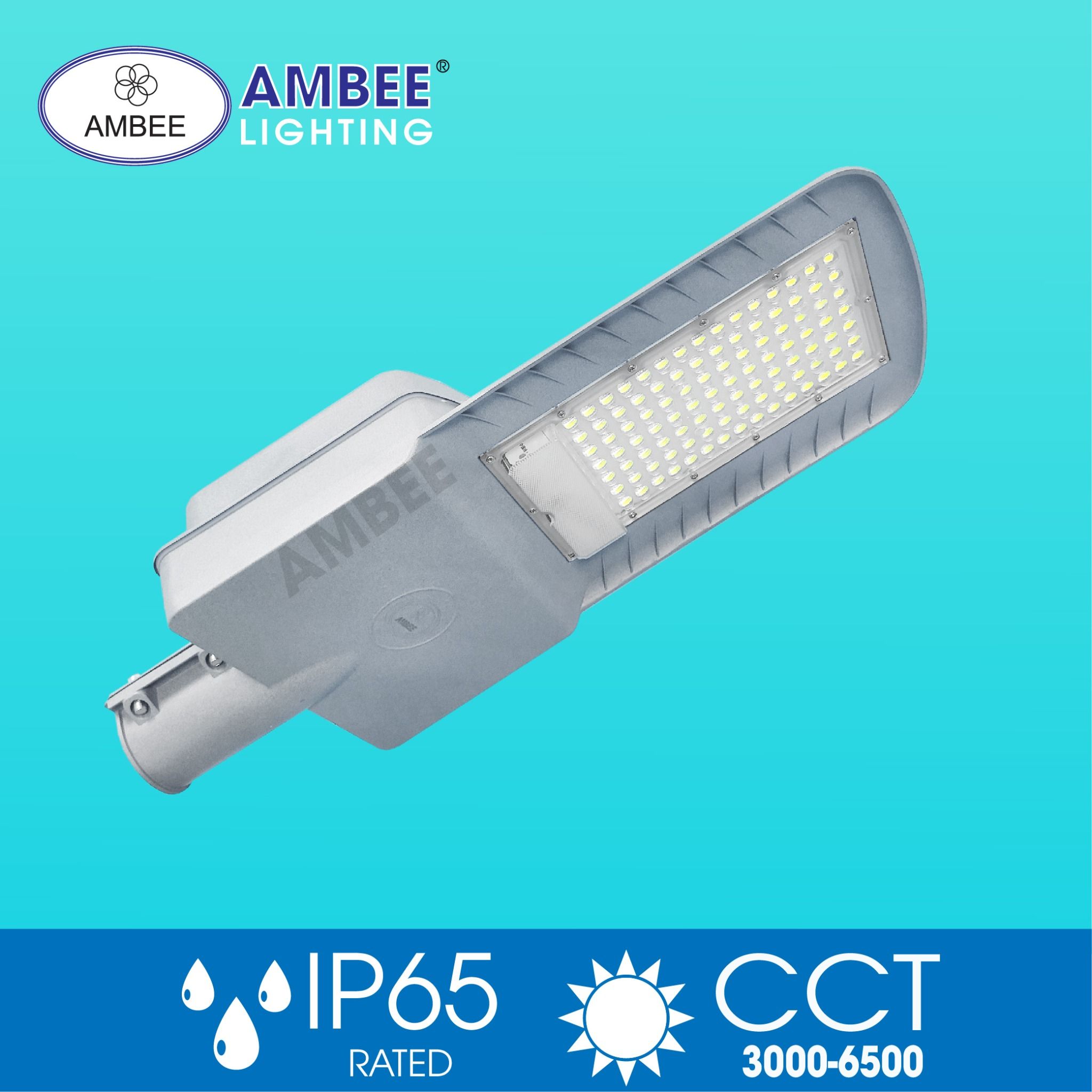 Đèn Đường Năng Lượng Mặt Trời 100w (Loại Rời)