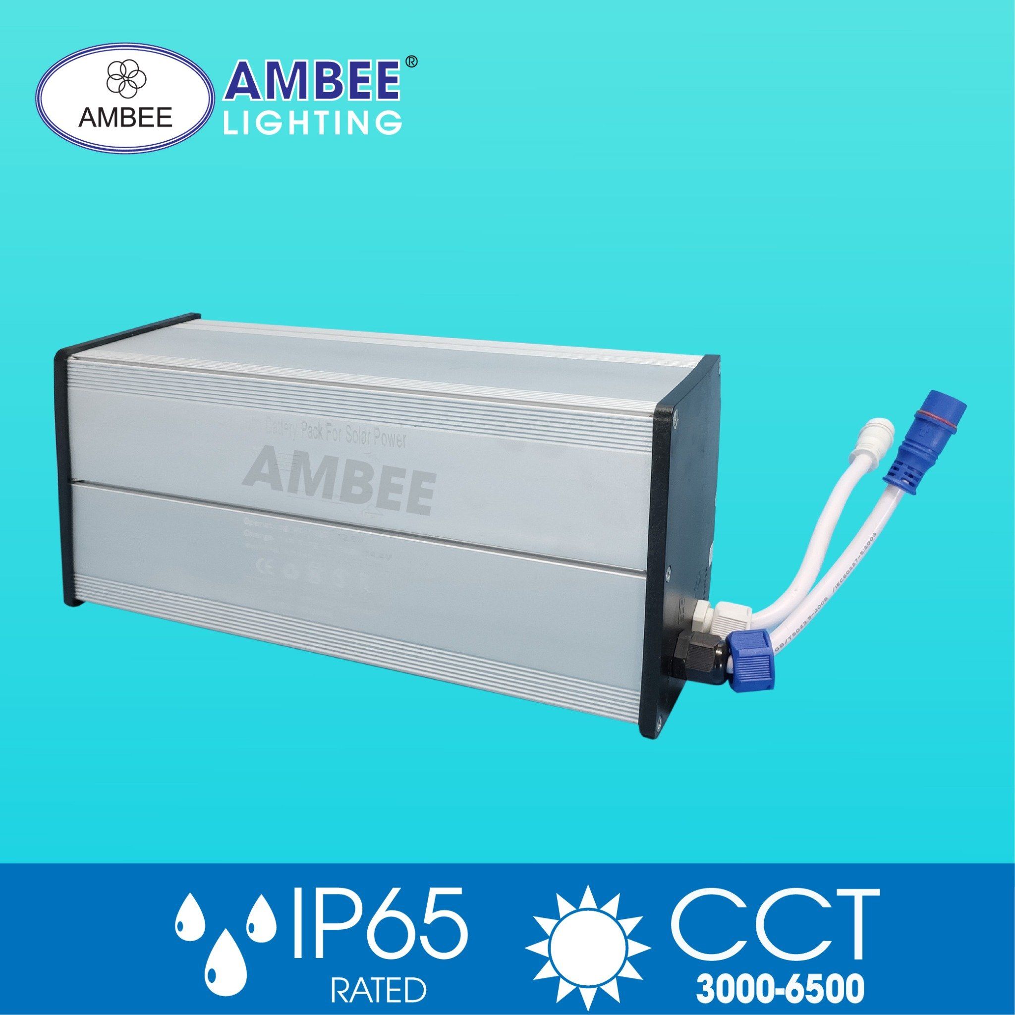 Đèn Đường Năng Lượng Mặt Trời 100w (Loại Rời)