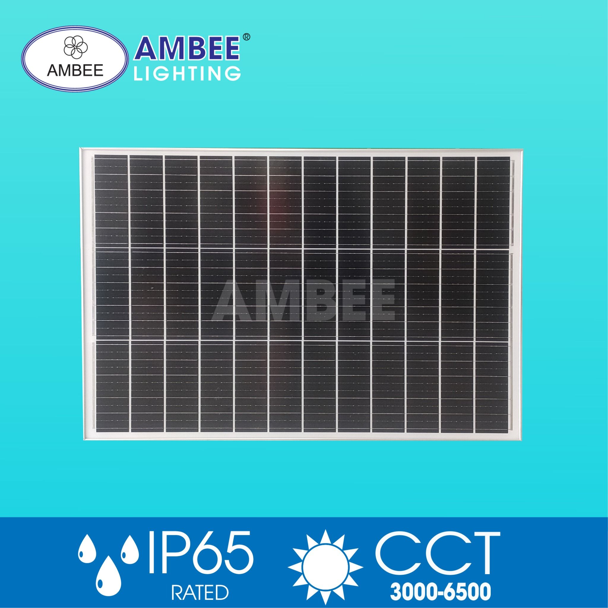 Đèn Đường Năng Lượng Mặt Trời 100w (Loại Rời)