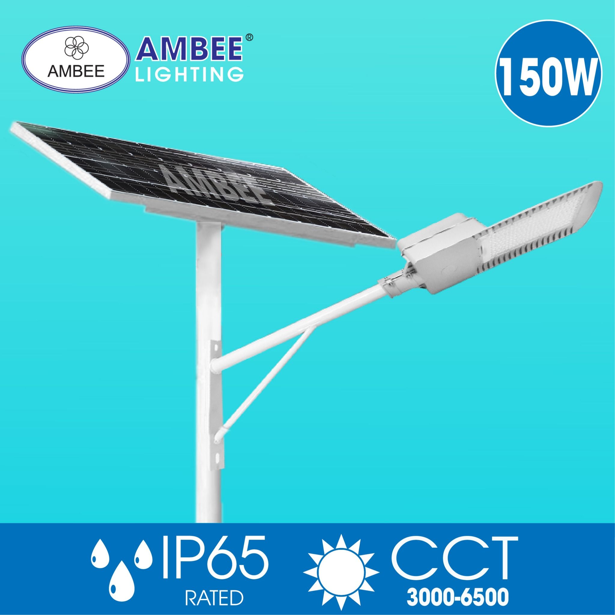 Led Street Solar Light 150W (removable)