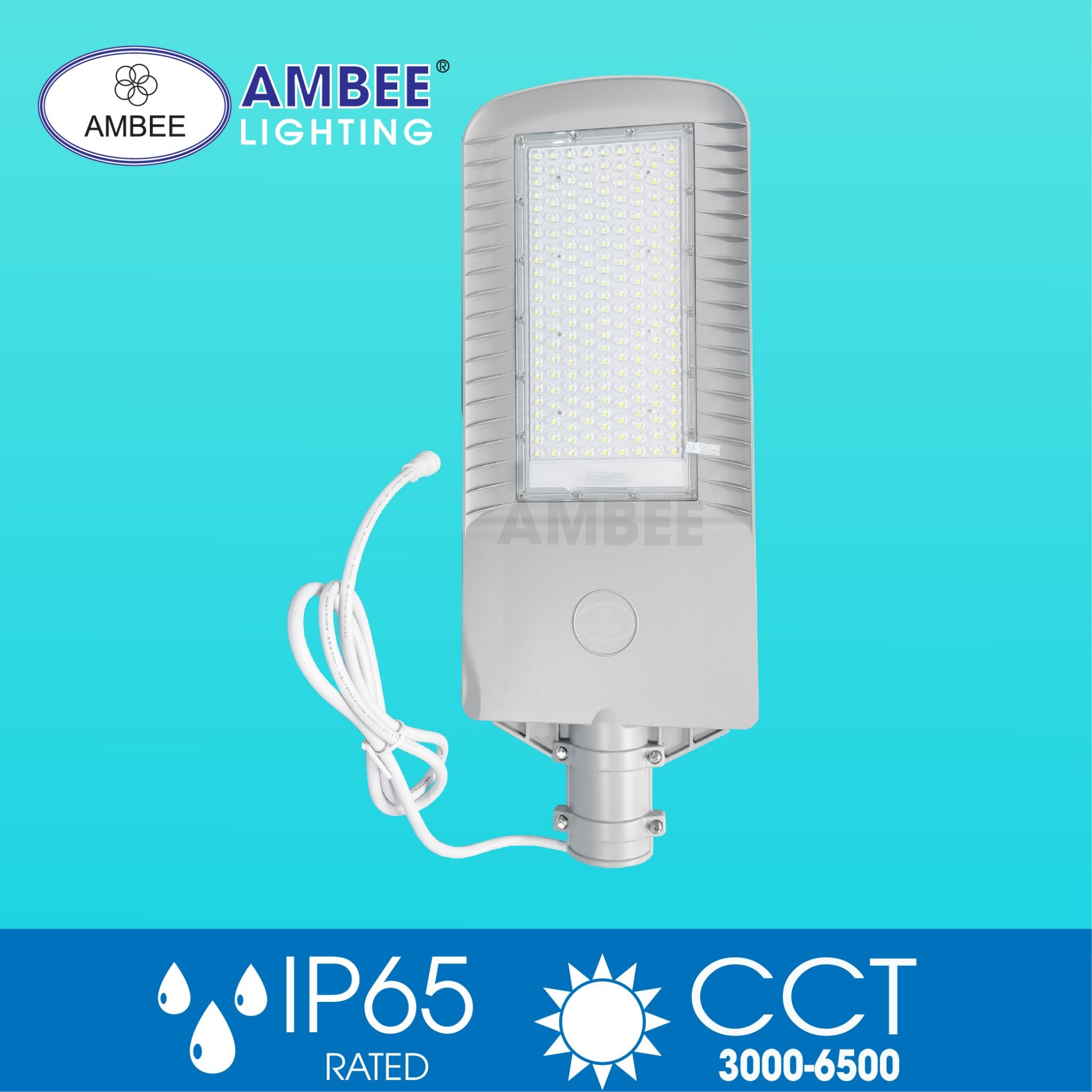 Led Street Solar Light 150W (removable)