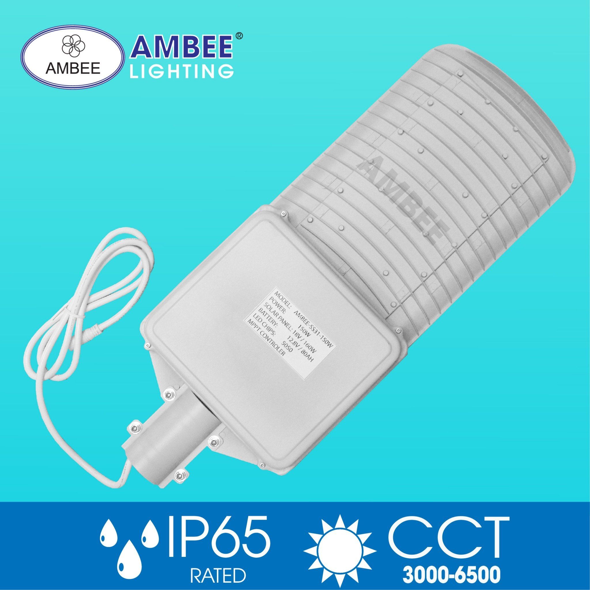 Led Street Solar Light 150W (removable)