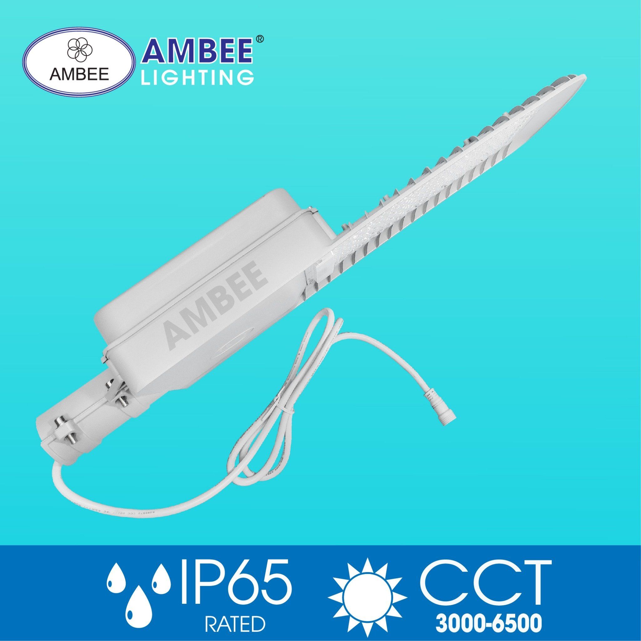 Led Street Solar Light 150W (removable)