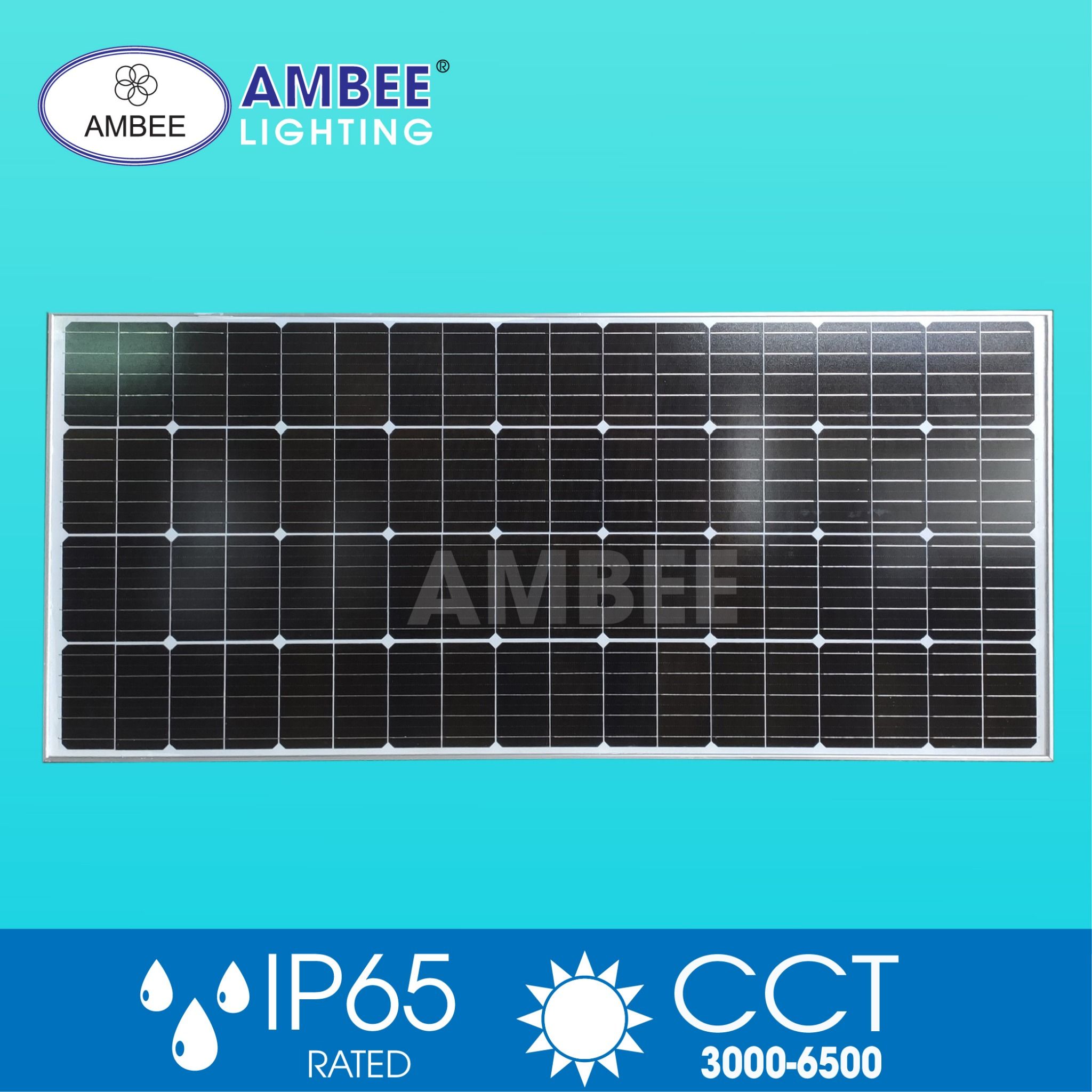 Led Street Solar Light 150W (removable)