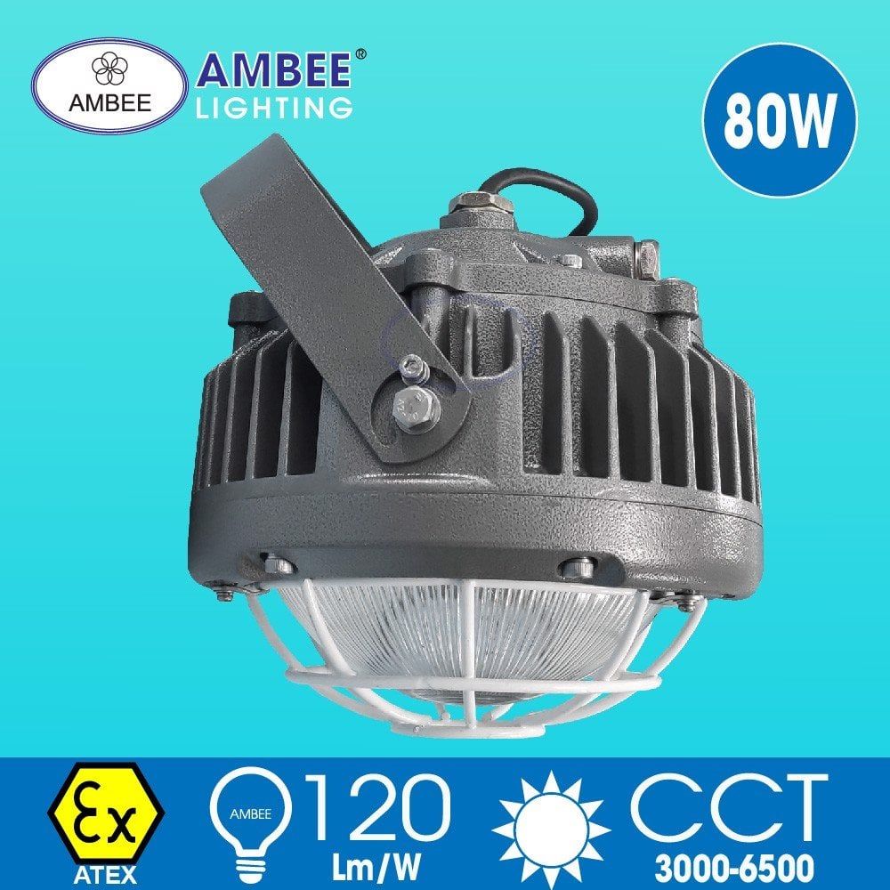 Explosion-proof Led Lamp F8231 80W