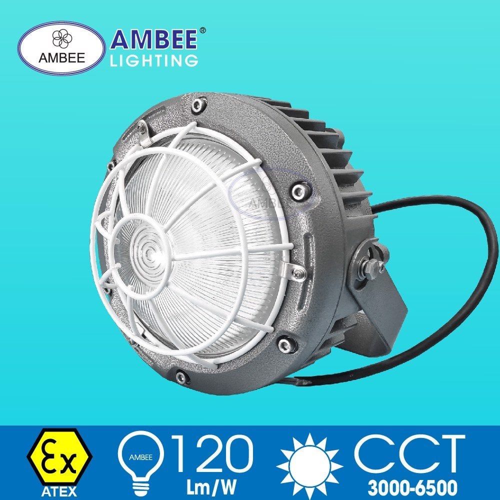 Explosion-proof Led Lamp F8231 60W