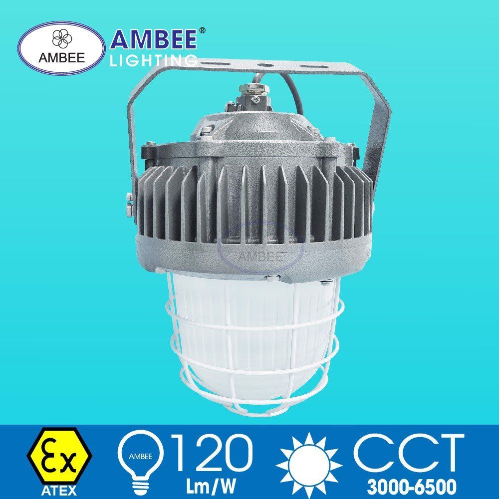 Explosion-proof Led Lamp F8238 80W