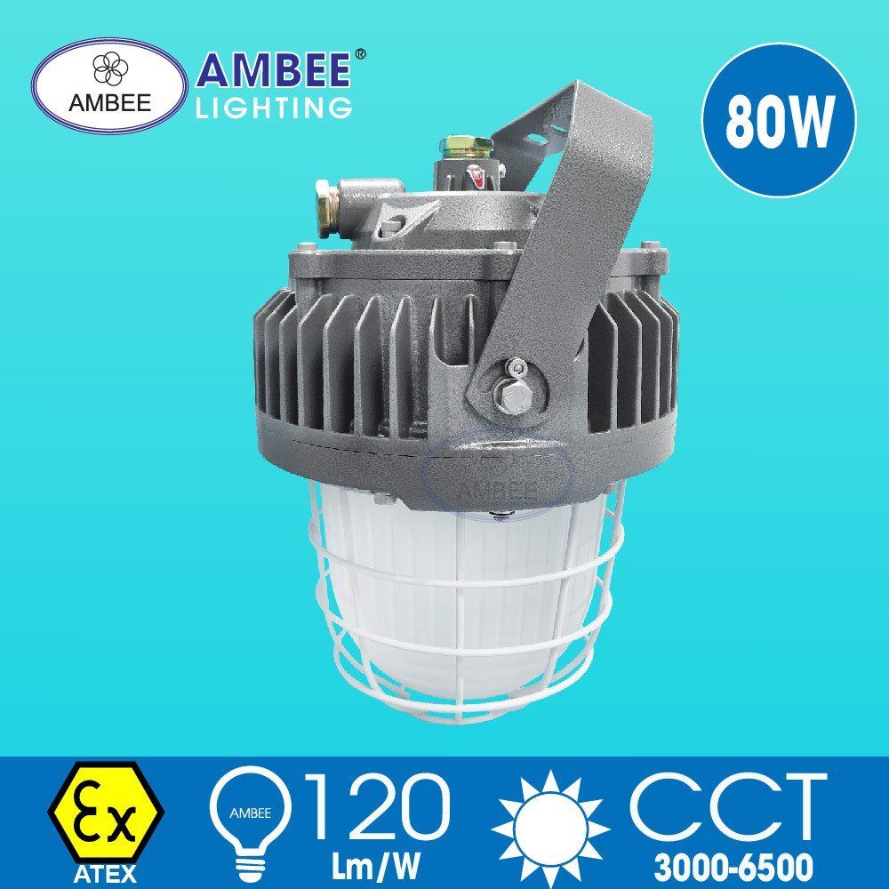 Explosion-proof Led Lamp F8238 80W