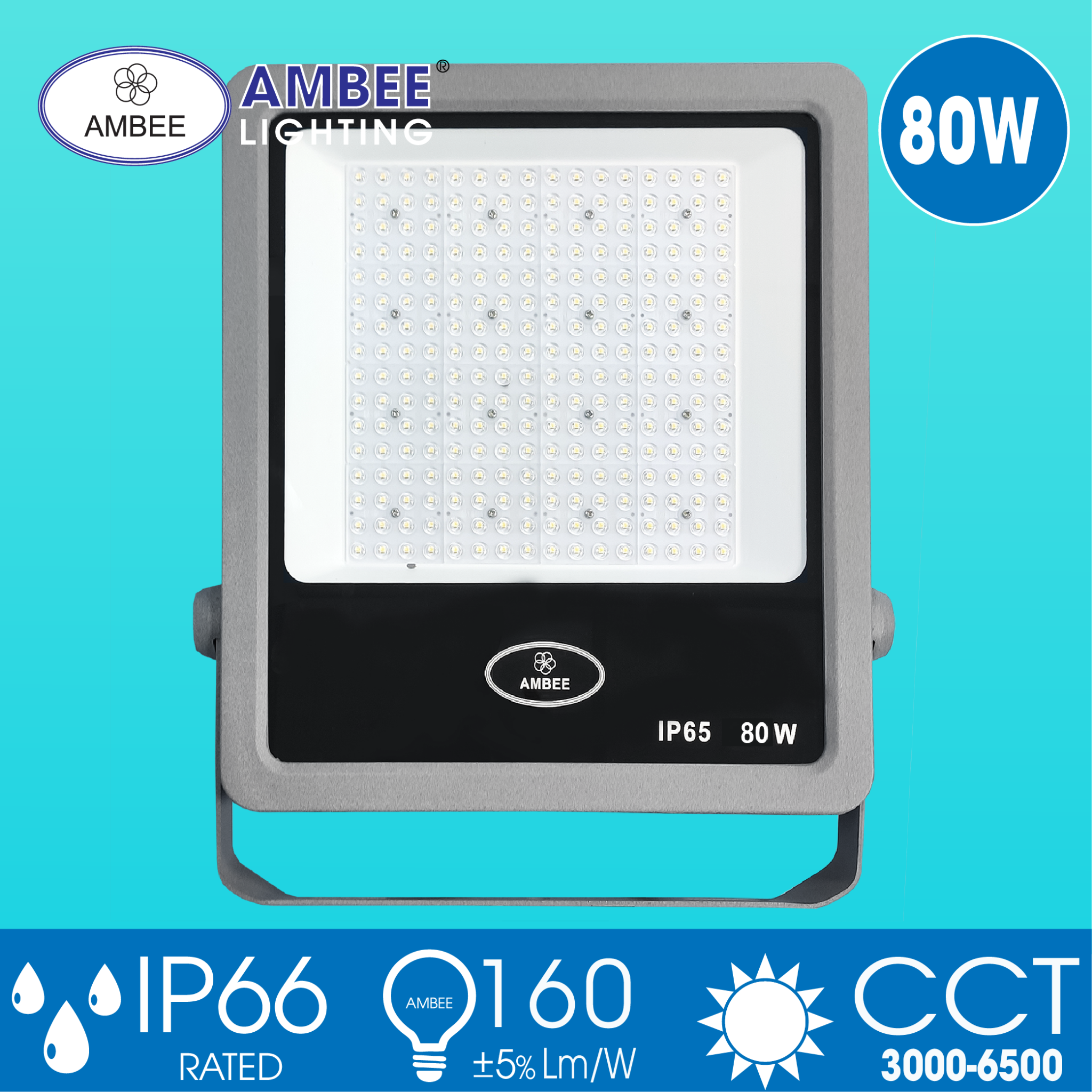 Led Floodlight TD01 80W