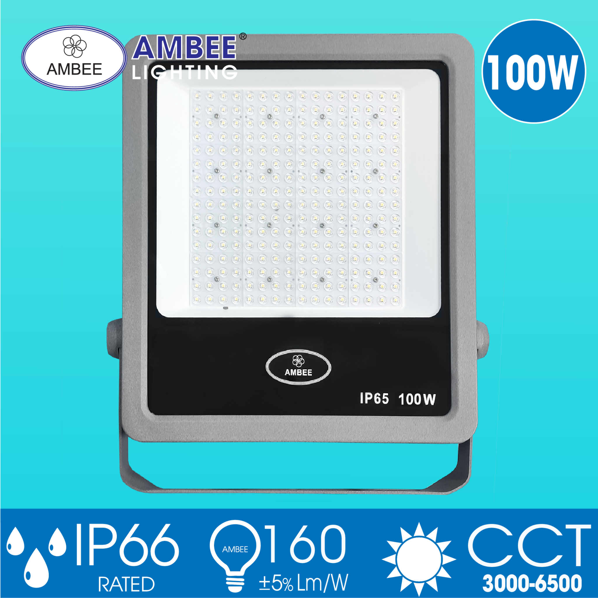 Đèn Led Pha TD01 100W