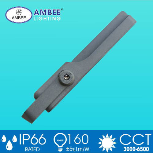 Led Floodlight TD01 100W