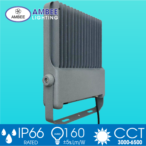 Đèn Led Pha TD01 150W