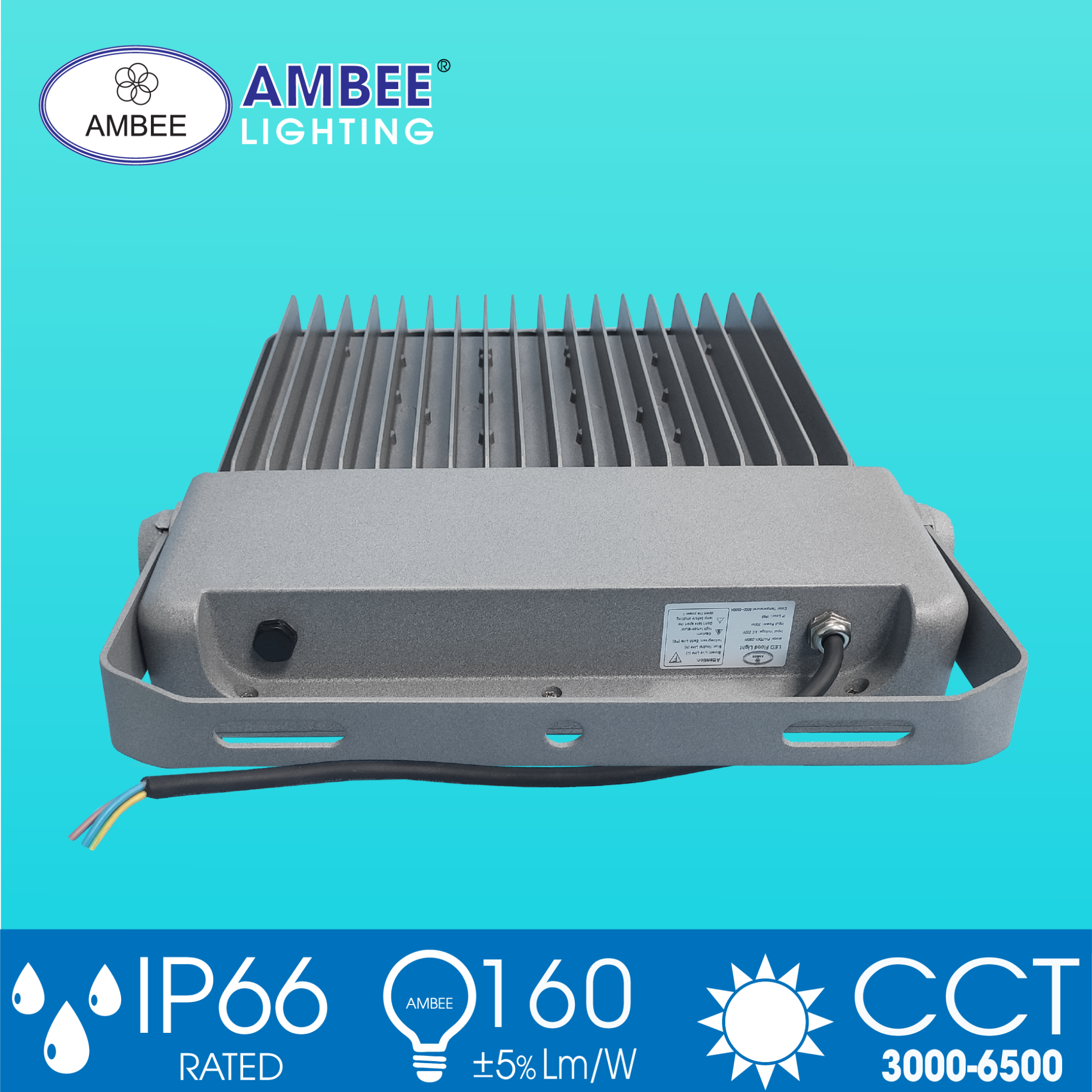 Led Floodlight TD01 80W