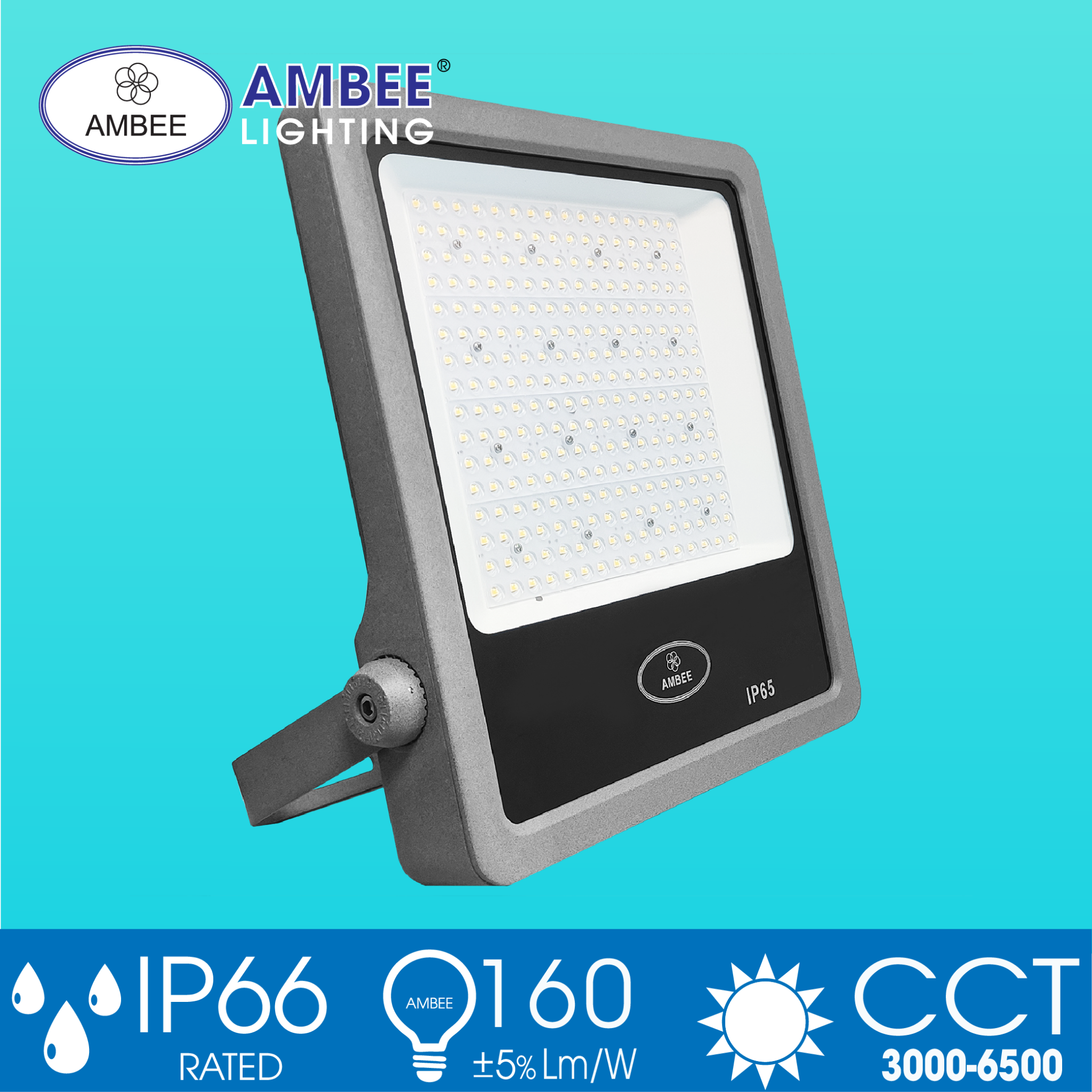Đèn Led Pha TD01 200W