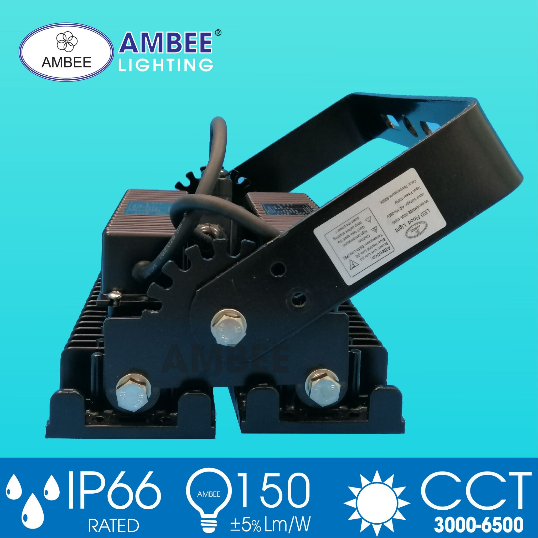 Led Floodlight TD05 100W