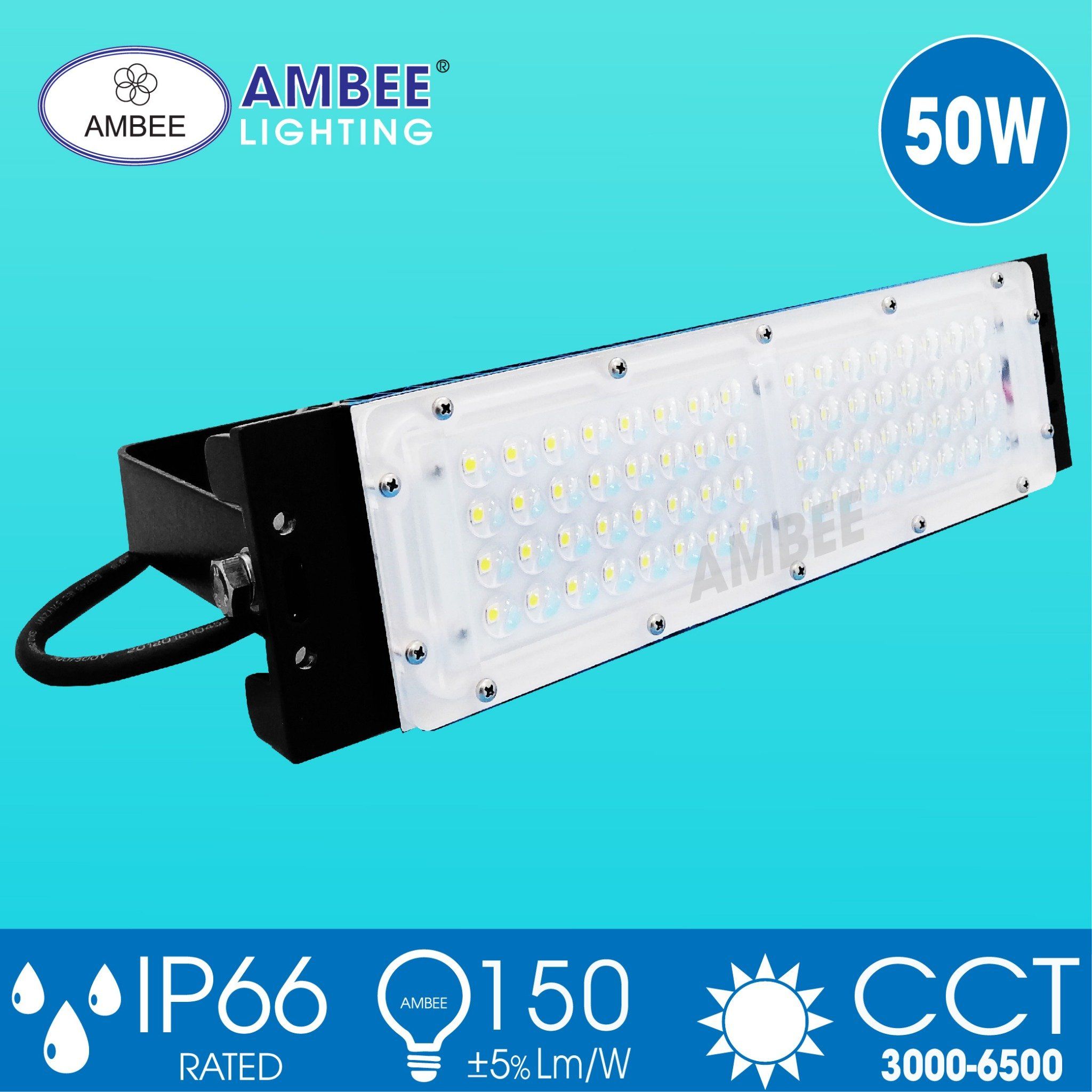 Led Floodlight TD05 50W
