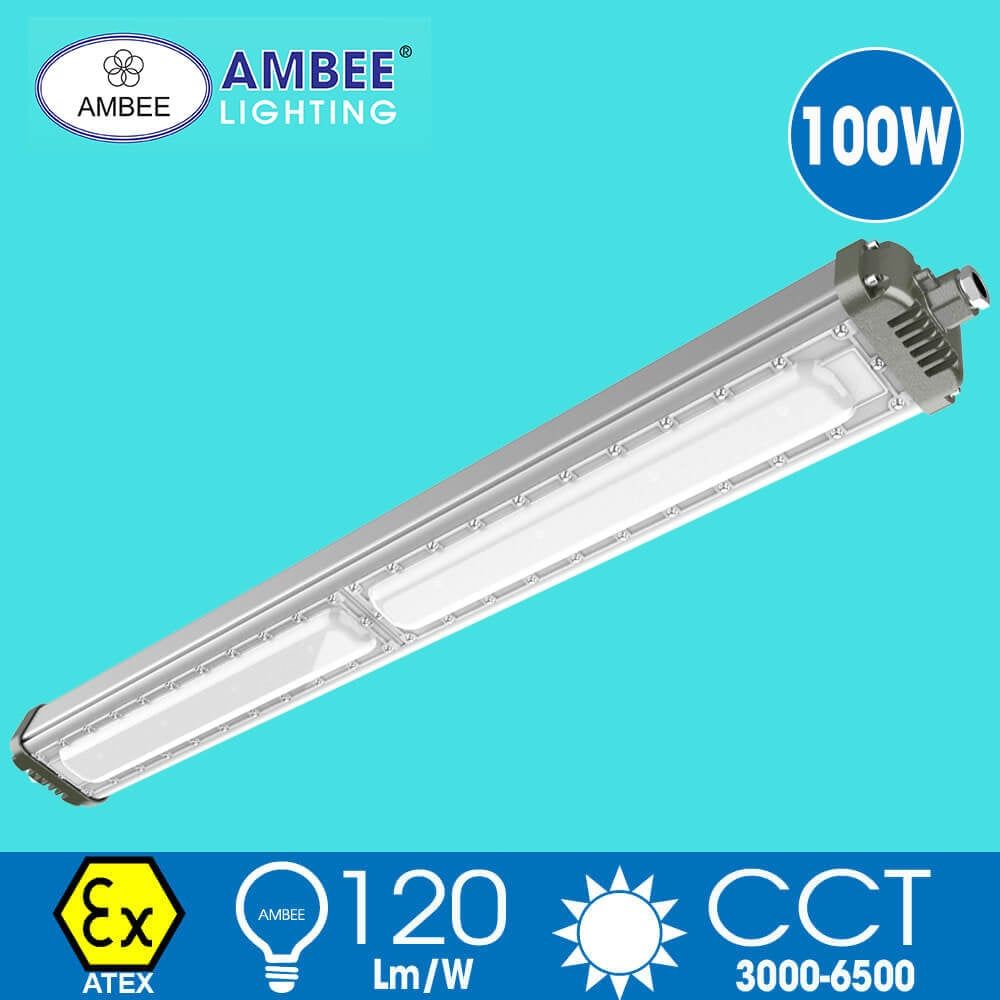 Đèn chống cháy nổ F52 100W