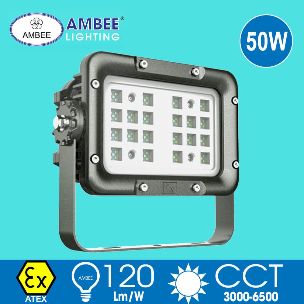 Đèn Led Chống Cháy Nổ F8260 50W