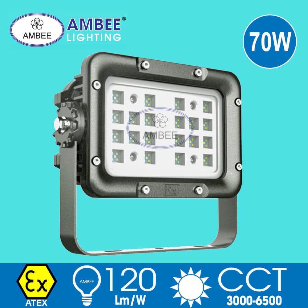 Đèn Led Chống Cháy Nổ F8260 70W