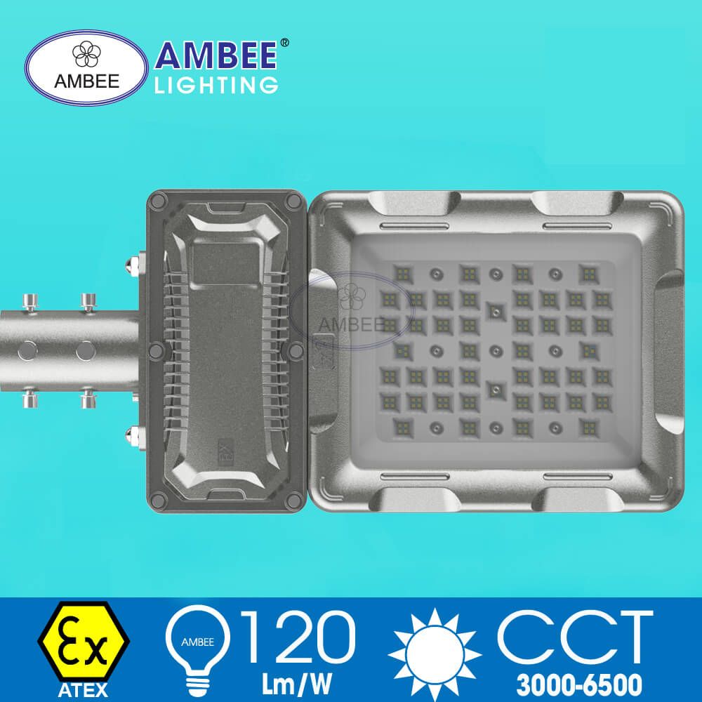 Explosion-proof Led Lamp F8269 200W