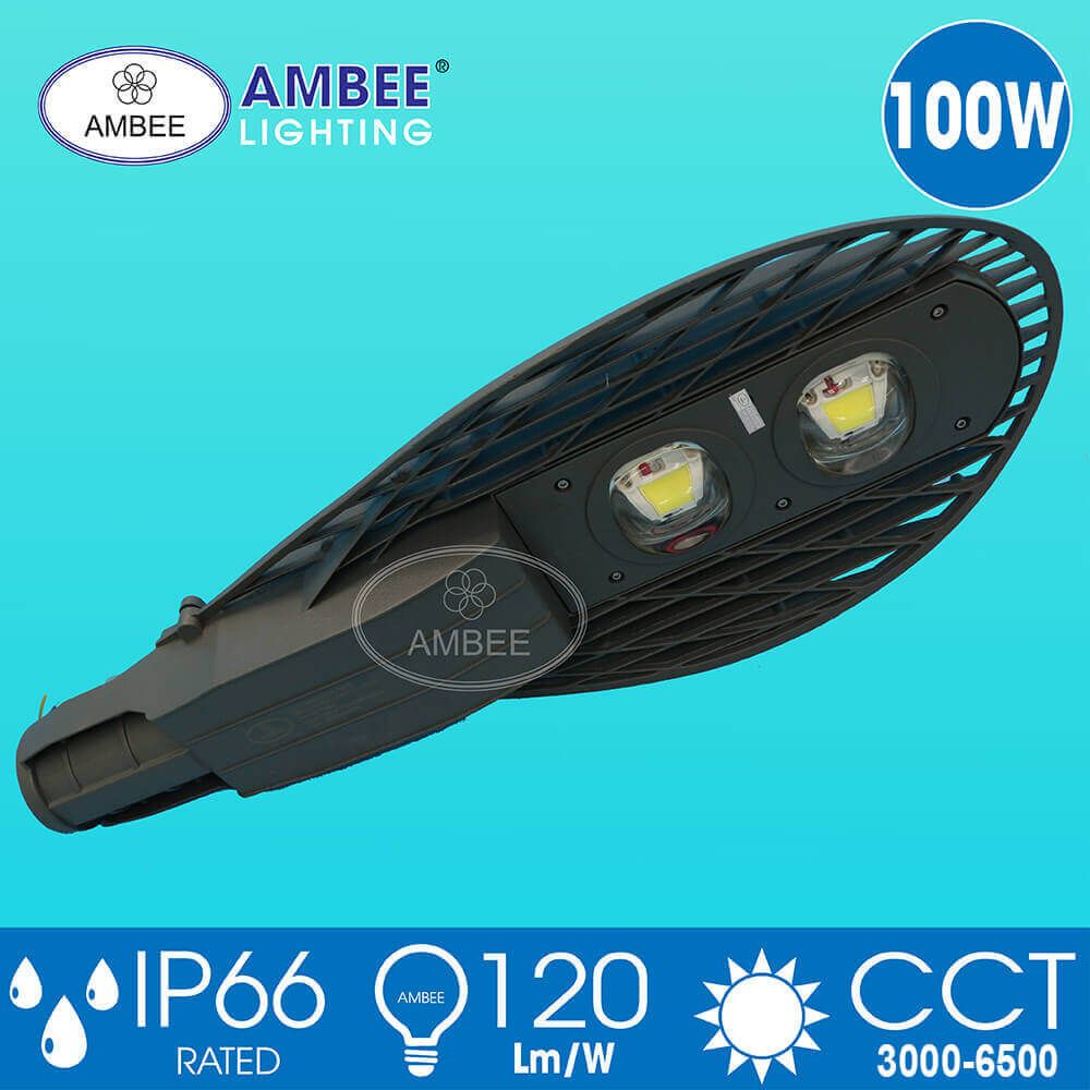 Led Street Light SS017 100W