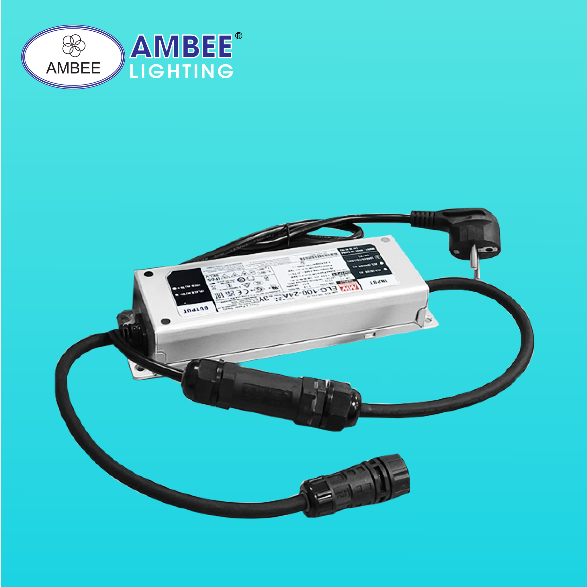 Đèn Chiếu Vạch An Toàn 100W