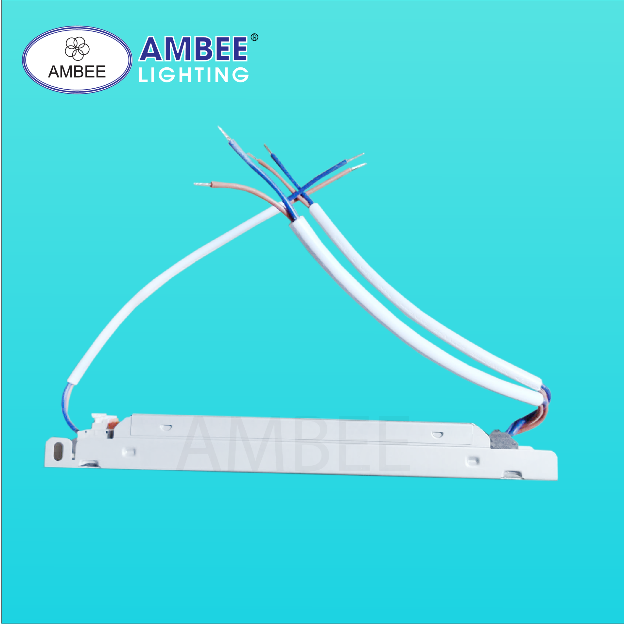 TĂNG PHÔ LED 1.2M DC
