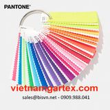  Bảng màu FFN100 Pantone Nylon Brights Set 2020 