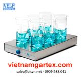  Máy khuấy từ VELP Multistirrer 6 - 15 vị trí khuấy 