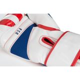  Găng tay boxing TITLE Infused Foam Combat USA Training Gloves 