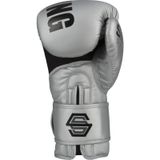  Găng tay boxing Title Silver Series Training Gloves 