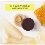  Tẩy tế bào chết môi Mỹ BURT'S BEES 7.08g thành phần tự nhiên giúp môi mềm mịn - A221 