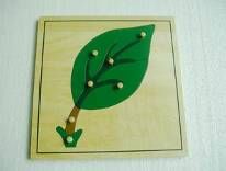 Leaf Puzzle (PLYWOOD --- NEW)