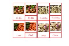 Root Vegetables Picture Cards