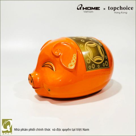Piggy Bank Orange/Gold with Giftbox